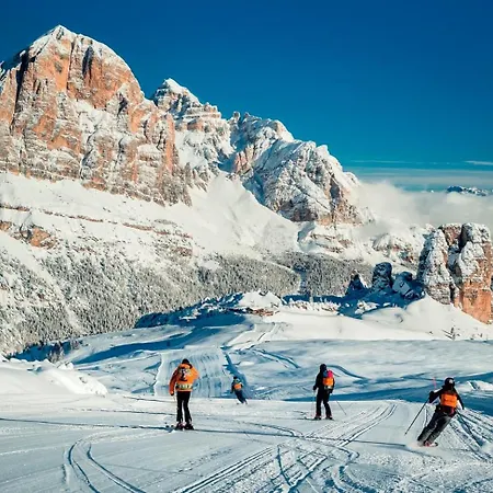 Tofana Cortina Pocol