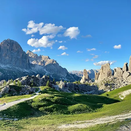 Tofana Cortina